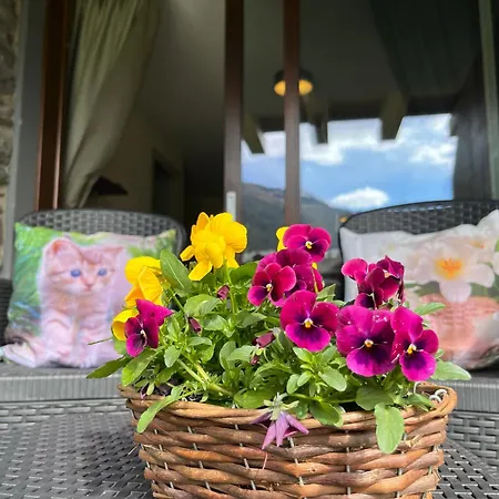 Isolaccia Angolo Di Paradiso Apartment