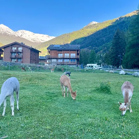Isolaccia Angolo Di Paradiso Apartment